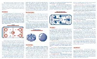 Know Your Inline Hockey 2