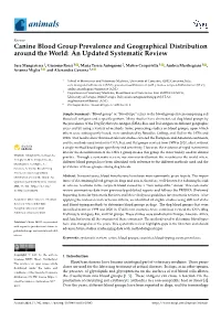 Canine Blood Group Prevalence and Geographical Distribution Around the World: an Updated Systematic Review