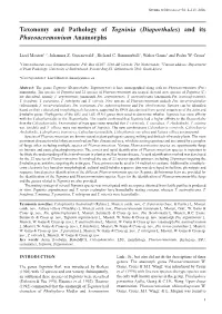 Taxonomy and Pathology of Togninia (Diaporthales) and Its Phaeoacremonium Anamorphs