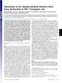 Alterations in the Immuno-Skeletal Interface Drive Bone Destruction in HIV-1 Transgenic Rats