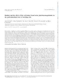 Binding and the Effect of the Red Kidney Bean Lectin, Phytohaemagglutinin, in the Gastrointestinal Tract of Suckling Rats