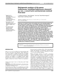 Phylogenetic Analysis of the Genus Pediococcus, Including Pediococcus Claussenii Sp