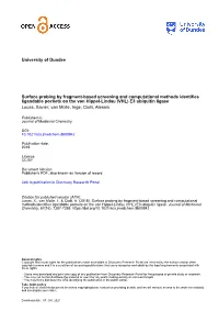 Surface Probing by Fragment-Based