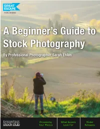 A Beginner's Guide to Stock Photography