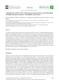 A Phylogenetic Analysis of the Cryptocarya Group (Lauraceae), and Relationships of Dahlgrenodendron, Sinopora, Triadodaphne, and Yasunia