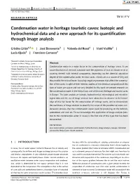 Condensation Water in Heritage Touristic Caves: Isotopic and Hydrochemical Data and a New Approach for Its Quantification Through Image Analysis