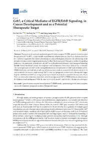 Grb7, a Critical Mediator of EGFR/Erbb Signaling, in Cancer Development and As a Potential Therapeutic Target