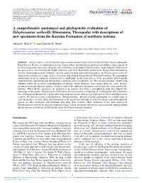 A Comprehensive Anatomical And