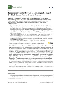 Epigenetic Modifier SETD8 As a Therapeutic Target for High-Grade