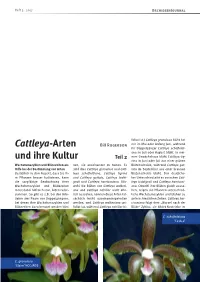 Journal 3 2017.Indd