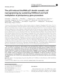 The P53-Induced Lincrna-P21 Derails Somatic Cell Reprogramming by Sustaining H3k9me3 and Cpg Methylation at Pluripotency Gene Promoters