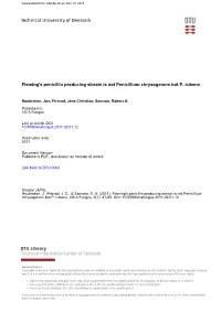 Fleming's Penicillin Producing Streain Is Not Penicillium Chrysogenum but P