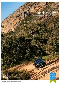 Grampians Drive You’Ve Never Seen It Like This Before!