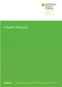 Interim Report