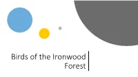 Birds of the Ironwood Forest Sharp-Shinned Hawk