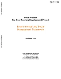 Environmental Assessment