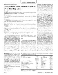 Five Multiple-Virus-Resistant Common Bean Breeding Lines