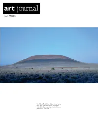 Hamill Surface-Matters-Erin-Shirreff