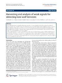 Harvesting and Analysis of Weak Signals for Detecting Lone Wolf