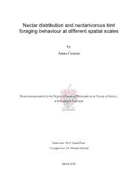Nectar Distribution and Nectarivorous Bird Foraging Behaviour at Different Spatial Scales