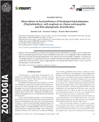 ﻿Observations on Food Preference of Neotropical Land Planarians