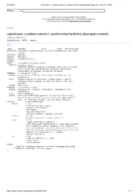 Sarcoptes Scabiei] Genbank: AWM31286.1 Identical Proteins FASTA Graphics