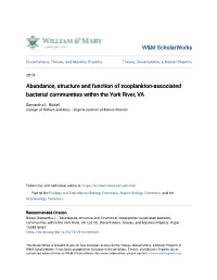 Abundance, Structure and Function of Zooplankton-Associated Bacterial Communities Within the York River, VA