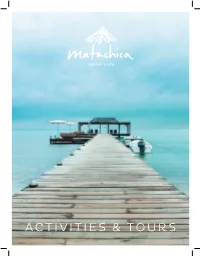 Activities & Tours