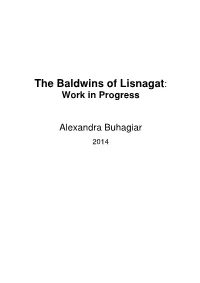 Baldwins of Lisnagat : Work in Progress
