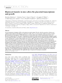 Blastocyst Transfer in Mice Alters the Placental Transcriptome and Growth