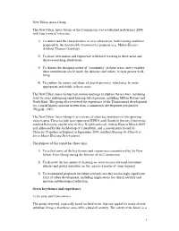 Report from the New Urban Areas Group