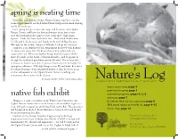 Spring Is Nesting Time Native Fish Exhibit
