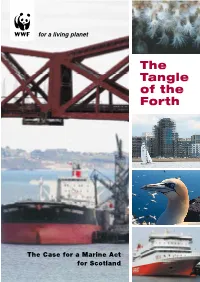 The Case for a Marine Act for Scotland the Tangle of the Forth