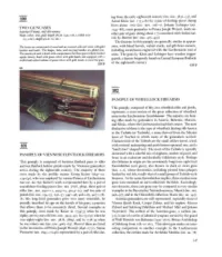 Two Guncases Panoply of Viennese Flintlock Firearms