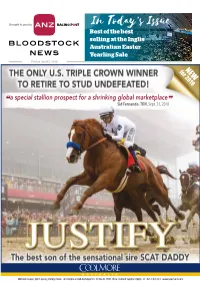 A Special Stallion Prospect for a Shrinking Global Marketplace❞ Sid Fernando, TDN, Sept