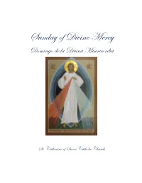 Divine Mercy Booklet