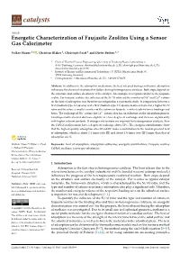 Energetic Characterization of Faujasite Zeolites Using a Sensor Gas Calorimeter