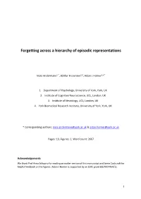 Forgetting Across a Hierarchy of Episodic Representations