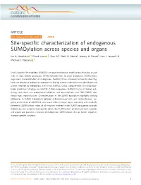 Site-Specific Characterization of Endogenous Sumoylation Across