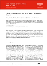 The First Fossil Free-Living Late Instar Larva of Strepsiptera (Insecta)