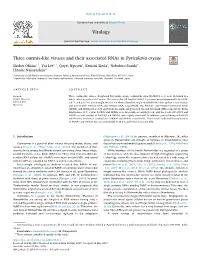 Three Ourmia-Like Viruses and Their Associated Rnas in Pyricularia