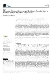Molecular Markers of Antifungal Resistance: Potential Uses in Routine Practice and Future Perspectives