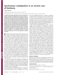 Synchronous Coadaptation in an Ancient Case of Herbivory