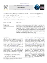 A Uniform Human Wnt Expression Library Reveals a Shared Secretory Pathway and Unique Signaling Activities