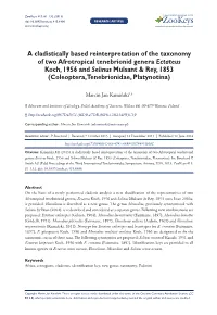 A Cladistically Based Reinterpretation of the Taxonomy of Two