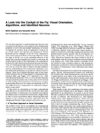 A Look Into the Cockpit of the Fly: Visual Orientation, Algorithms, and Identified Neurons