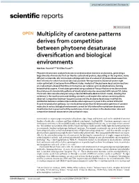 Multiplicity of Carotene Patterns Derives from Competition Between