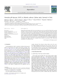Amoebic Gill Disease (AGD) in Atlantic Salmon (Salmo Salar) Farmed in Chile