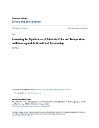 Assessing the Significance of Substrate Color and Temperature on Balanus Glandula Growth and Survivorship