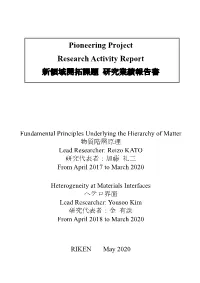 Pioneering Project Research Activity Report 新領域開拓課題 研究業績報告書